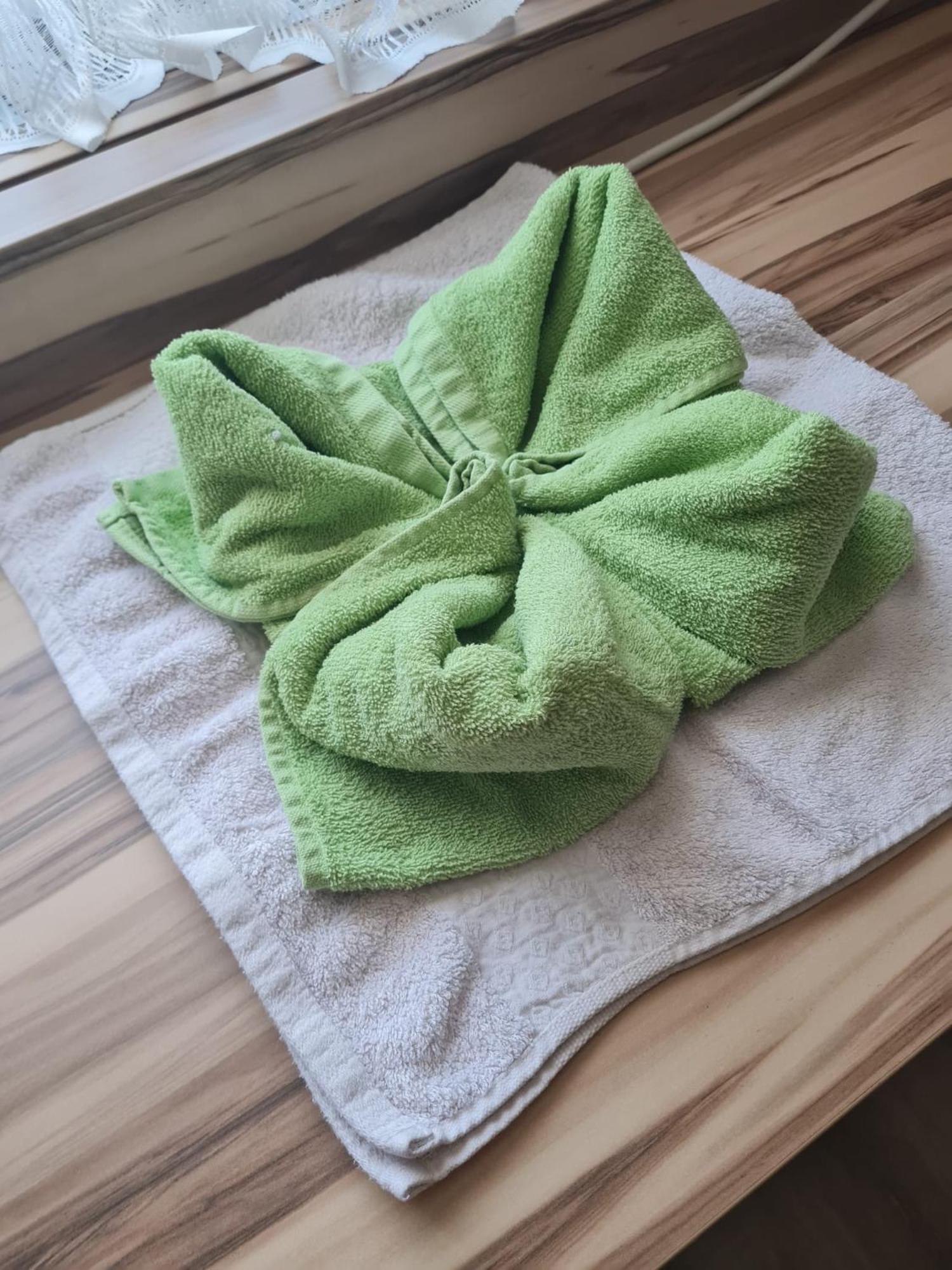 "Am Limes" Hotel Enns Bagian luar foto